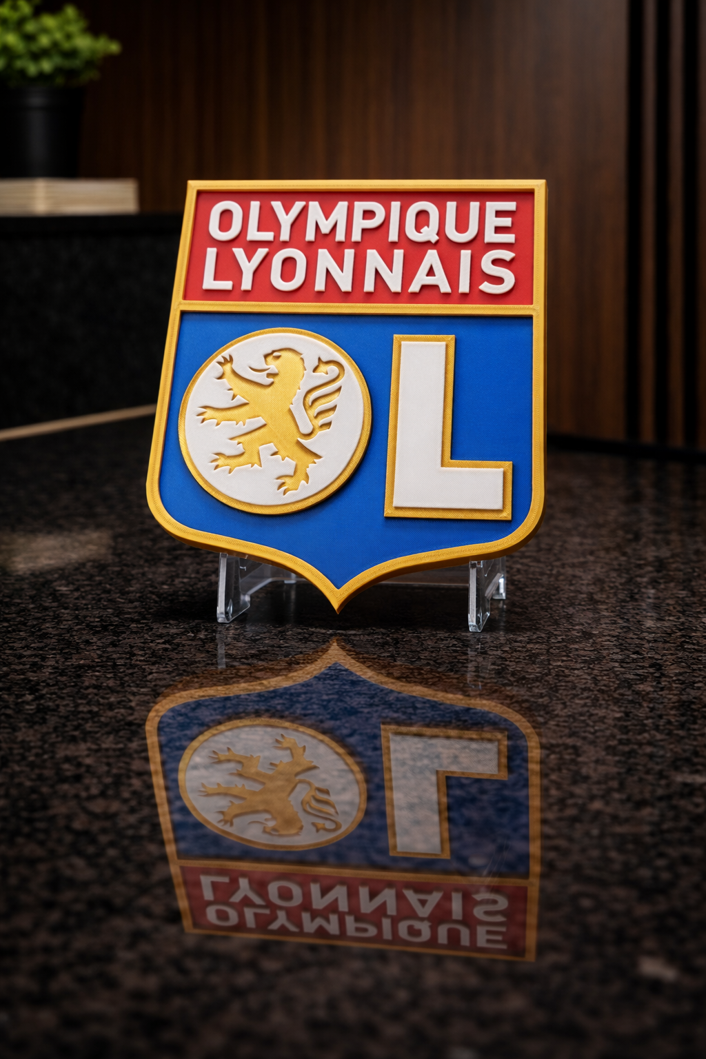 Plaque Décorative Olympique Lyonnais – Design Premium