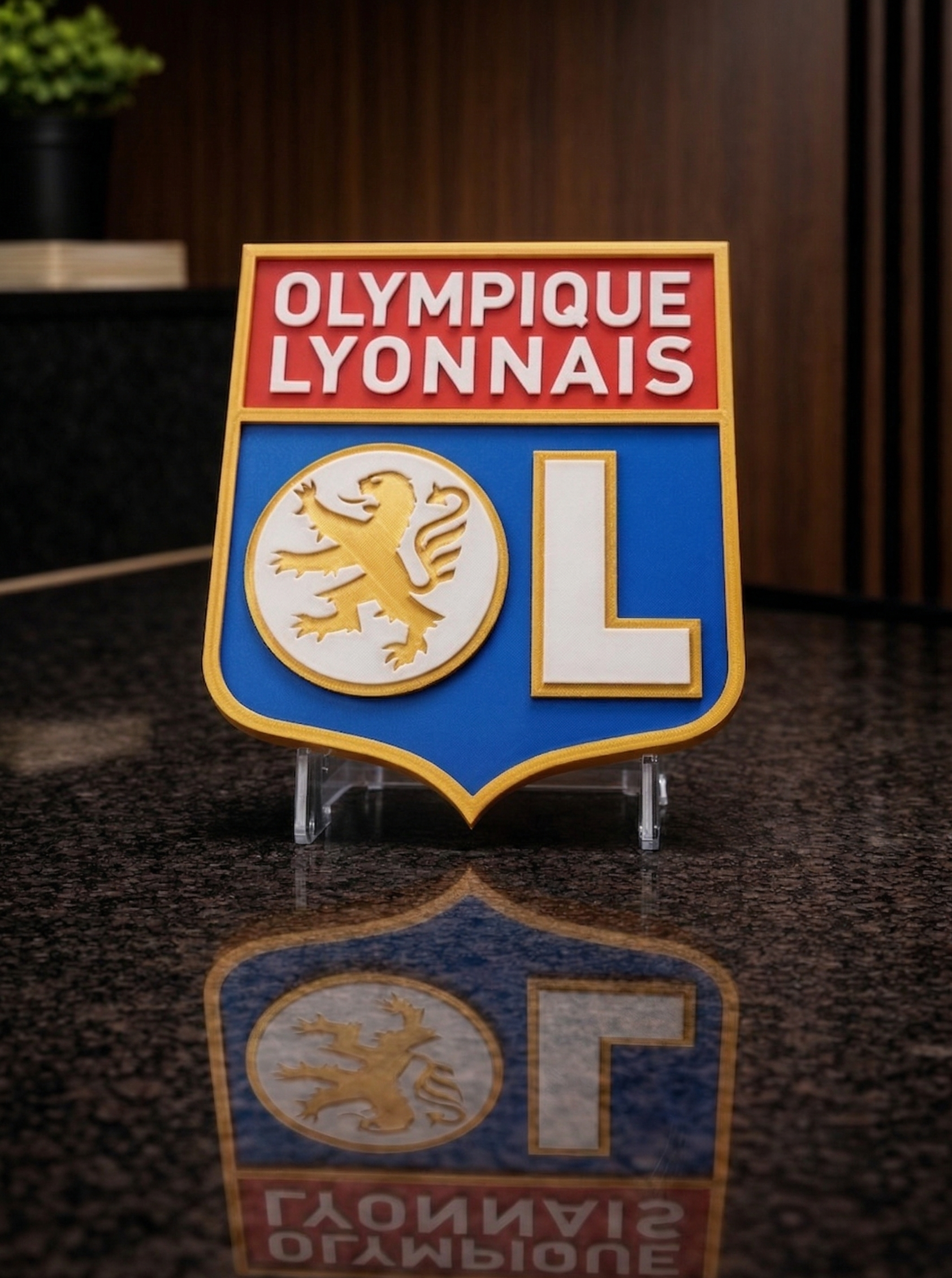 Plaque Décorative Olympique Lyonnais – Design Premium